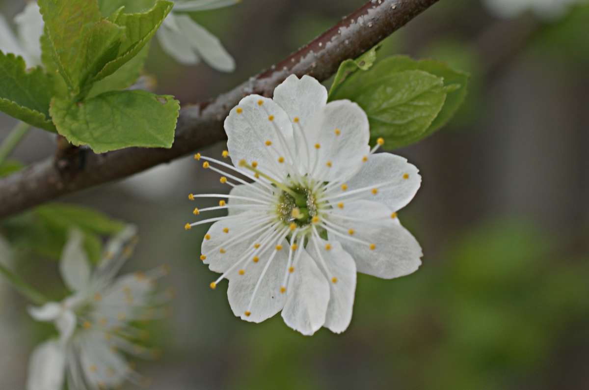 ���������� ������� ����� ����� ������� �������� �� PhotoGeek.ru #������ ��� �������