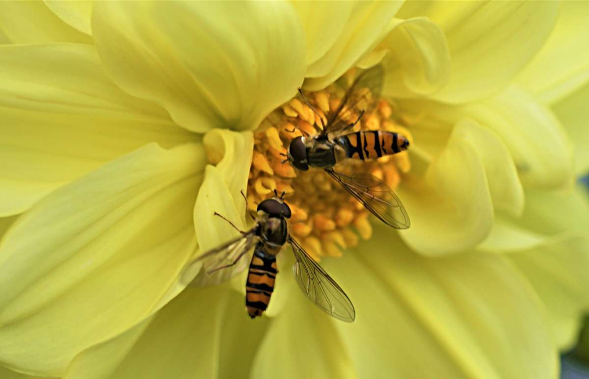 �����������... ����� ������� �������� �� PhotoGeek.ru #������ ��� �������