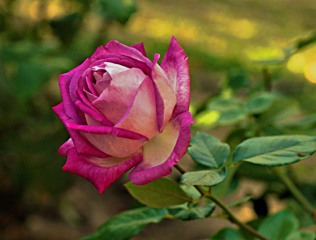 ... ����� ������� �������� �� PhotoGeek.ru #������ ��� �������