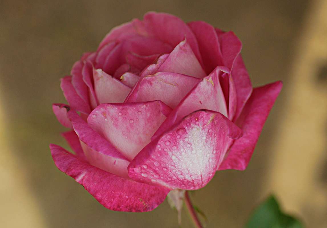 ... ����� ������� �������� �� PhotoGeek.ru #������ ��� �������