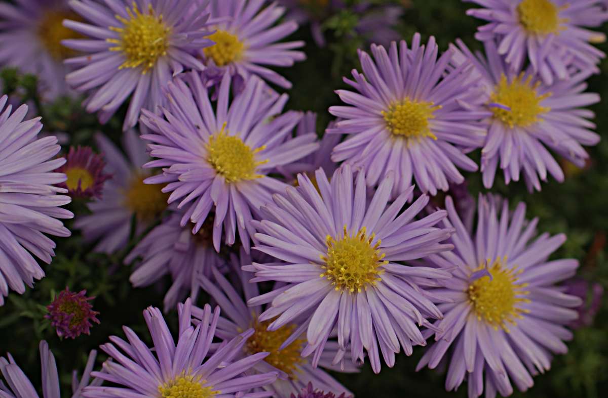 ... ����� ������� �������� �� PhotoGeek.ru #������ ��� �������