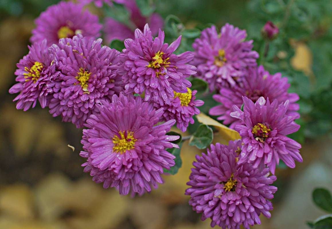 ... ����� ������� �������� �� PhotoGeek.ru #������ ��� �������