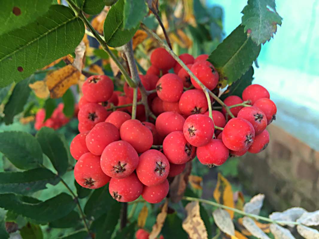 ... ����� ������� �������� �� PhotoGeek.ru #������ ��� �������