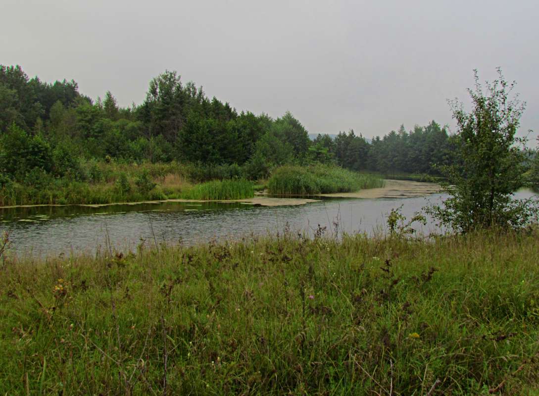 ����������� ���� ������� � ������� ���.(�� ������) ����� ������� �������� �� PhotoGeek.ru #������ ��� �������