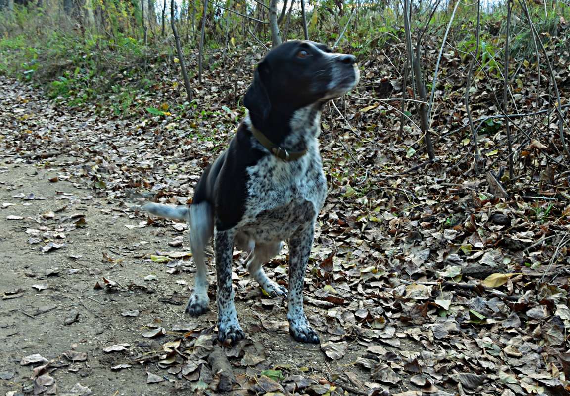 ... ����� ������� �������� �� PhotoGeek.ru #�������� ���