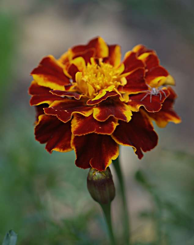 ... ����� ������� �������� �� PhotoGeek.ru #������ ��� �������