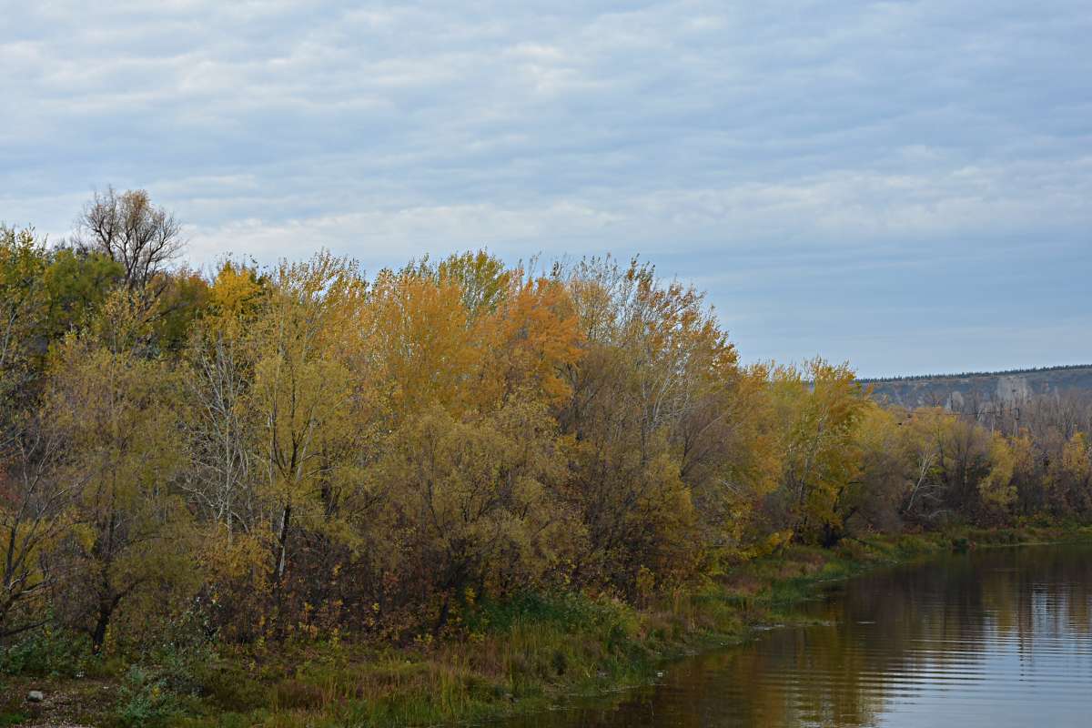 ... ����� ������� �������� �� PhotoGeek.ru #������ ��� �������