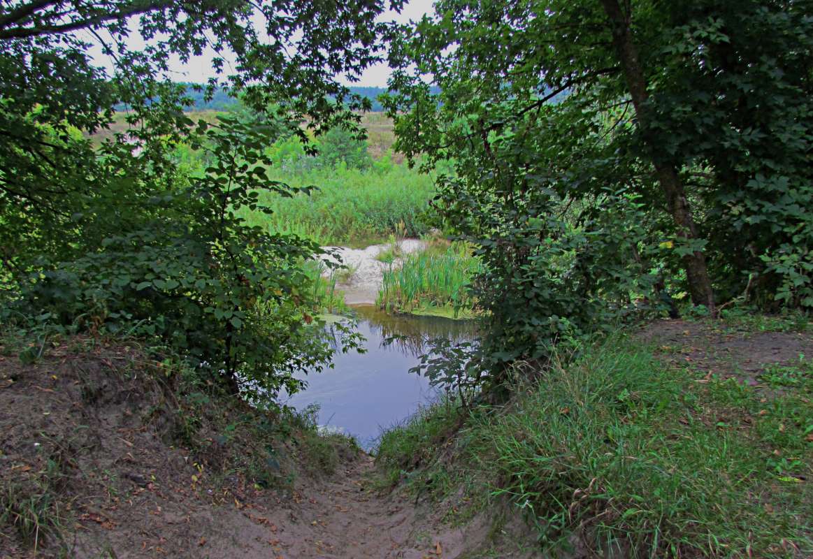 ... ����� ������� �������� �� PhotoGeek.ru #������ ��� �������