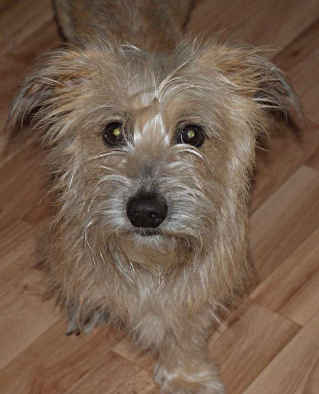 ���� ����� ������� �������� �� PhotoGeek.ru #������ ��� �������