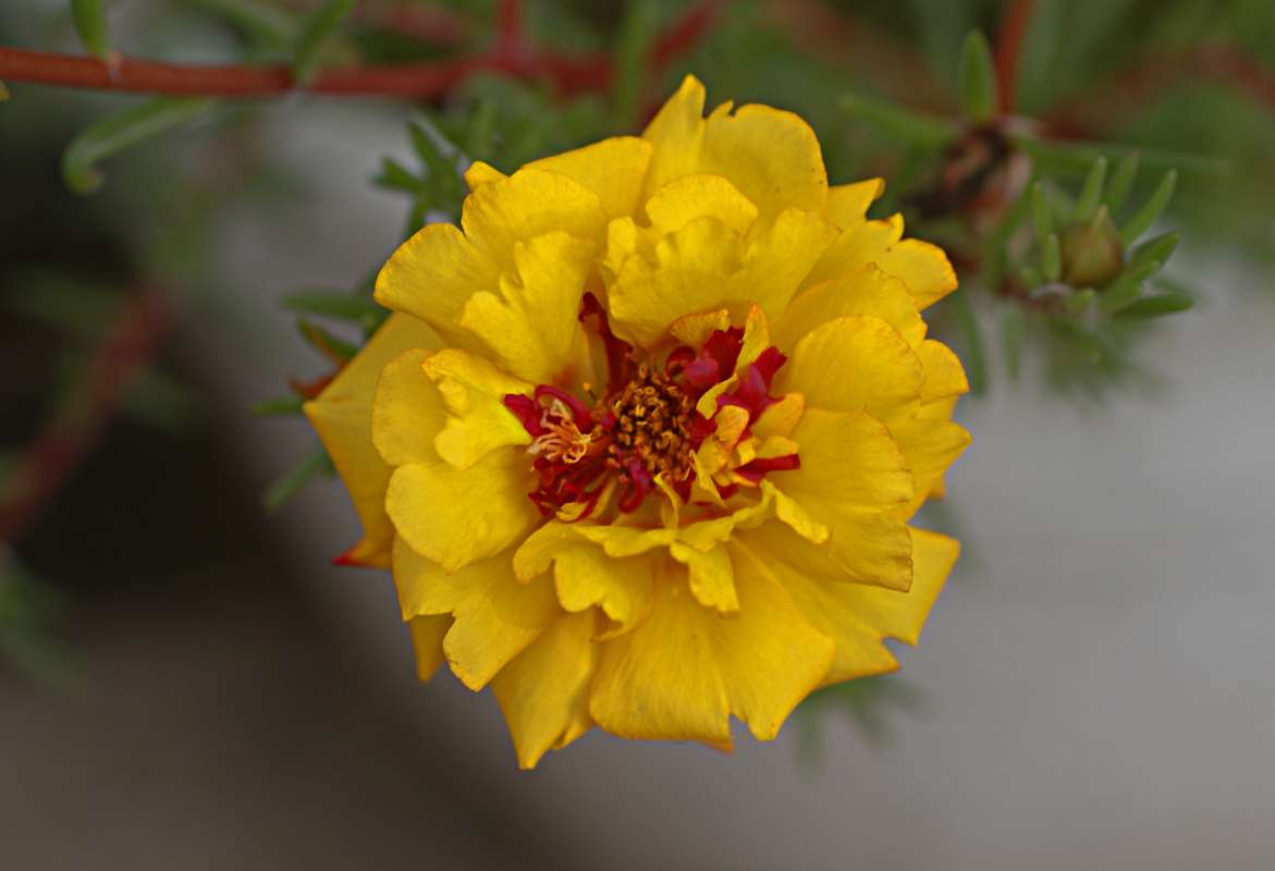 �������� ����� ������� �������� �� PhotoGeek.ru #������ ��� �������