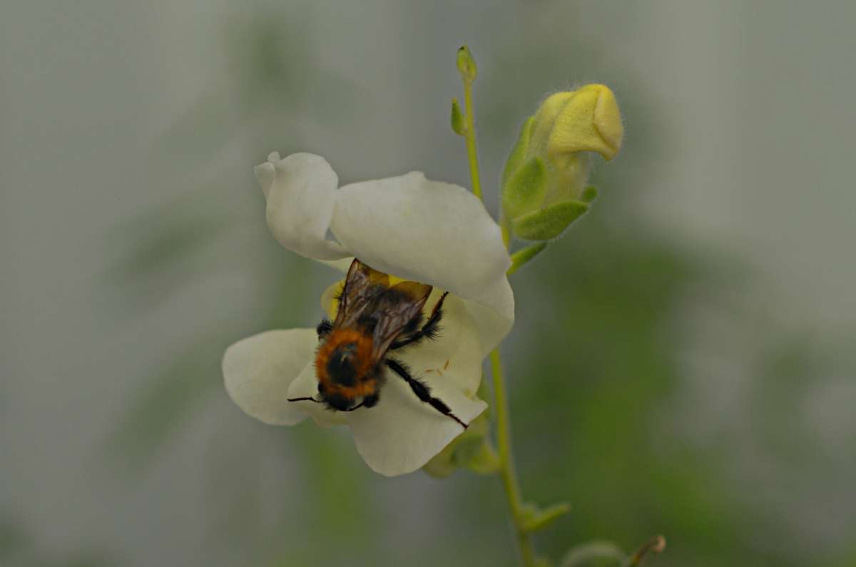 ... ����� ������� �������� �� PhotoGeek.ru #�������� ���