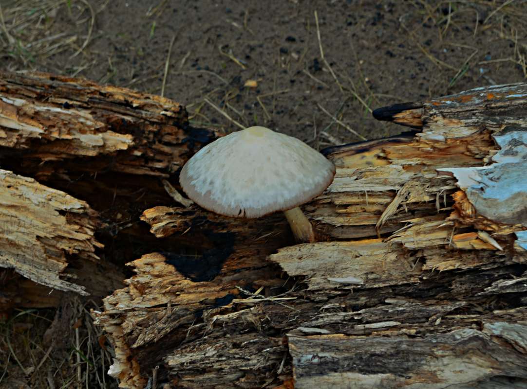 ... ����� ������� �������� �� PhotoGeek.ru #������ ��� �������