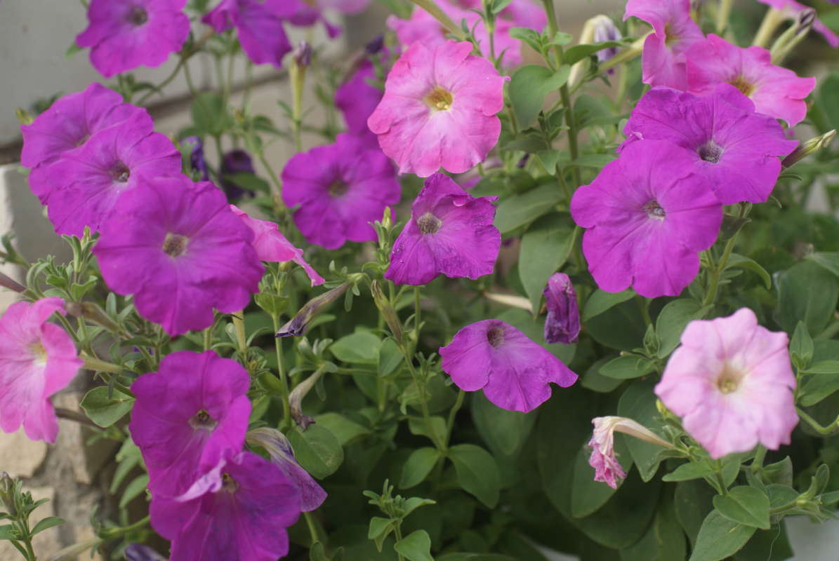 ... ����� ������� �������� �� PhotoGeek.ru #������ ��� �������