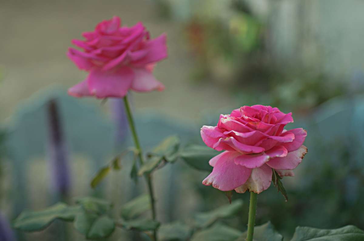 ... ����� ������� �������� �� PhotoGeek.ru #������ ��� �������