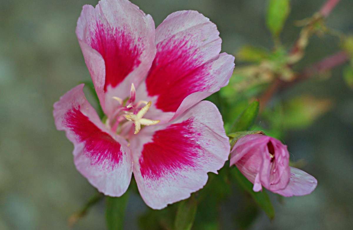 ... ����� ������� �������� �� PhotoGeek.ru #������ ��� �������