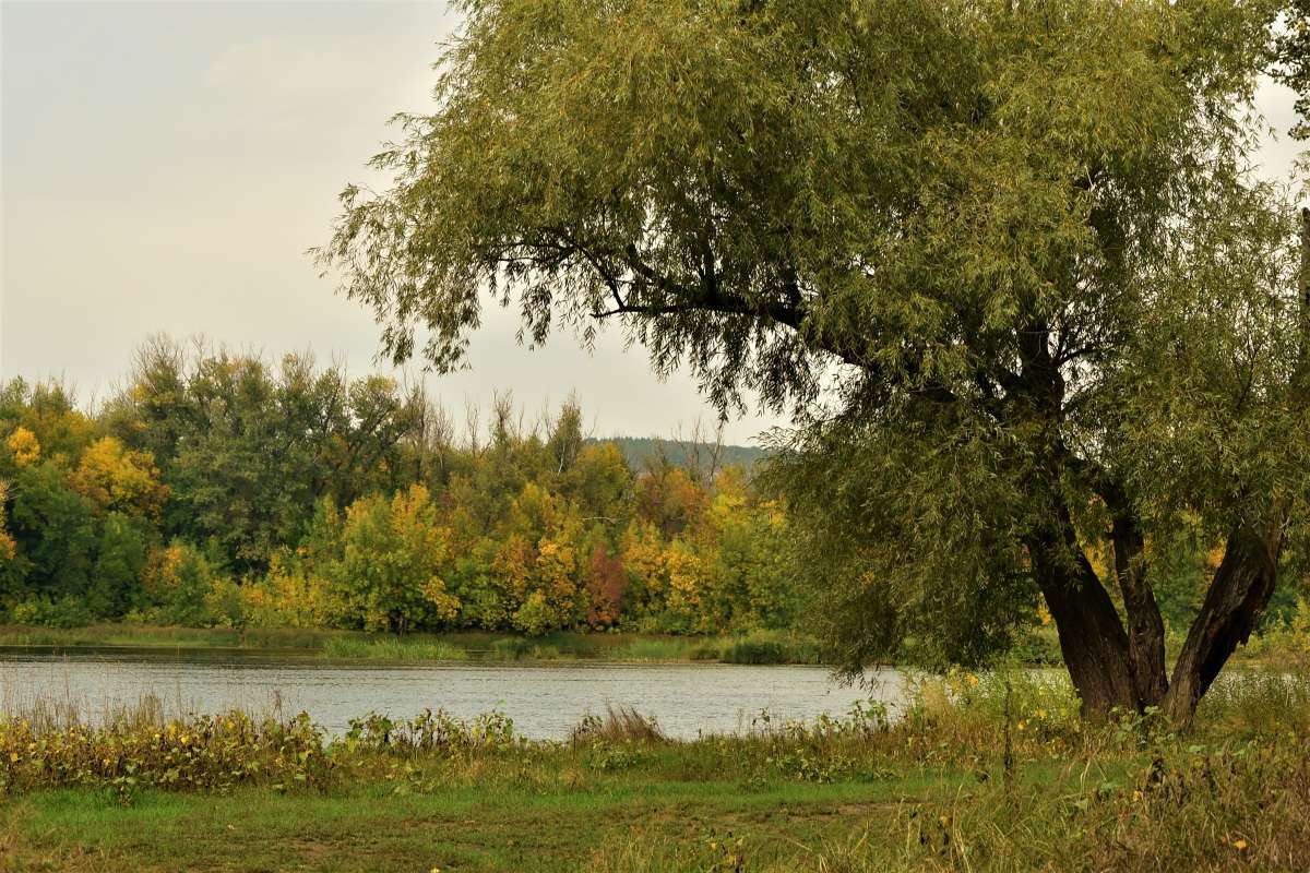 ... ����� ������� �������� �� PhotoGeek.ru #������ ��� �������