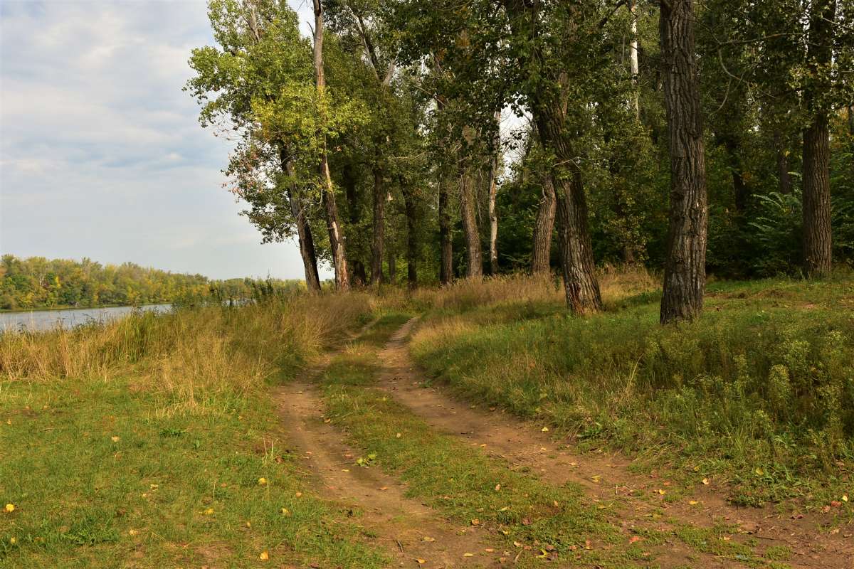 ... ����� ������� �������� �� PhotoGeek.ru #������ ��� �������