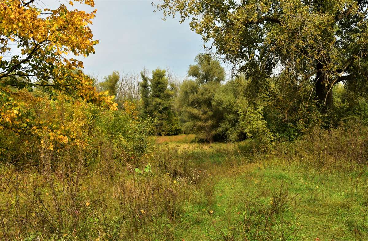 ... ����� ������� �������� �� PhotoGeek.ru #������ ��� �������