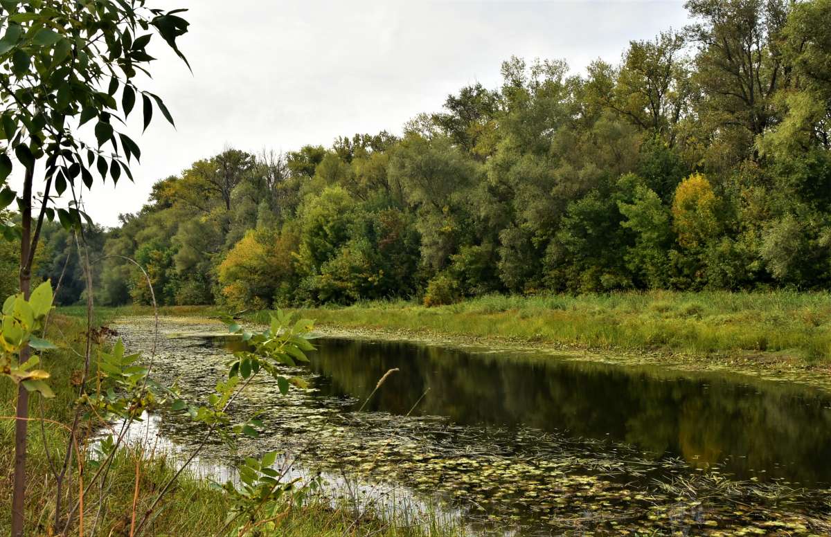 ... ����� ������� �������� �� PhotoGeek.ru #������ ��� �������