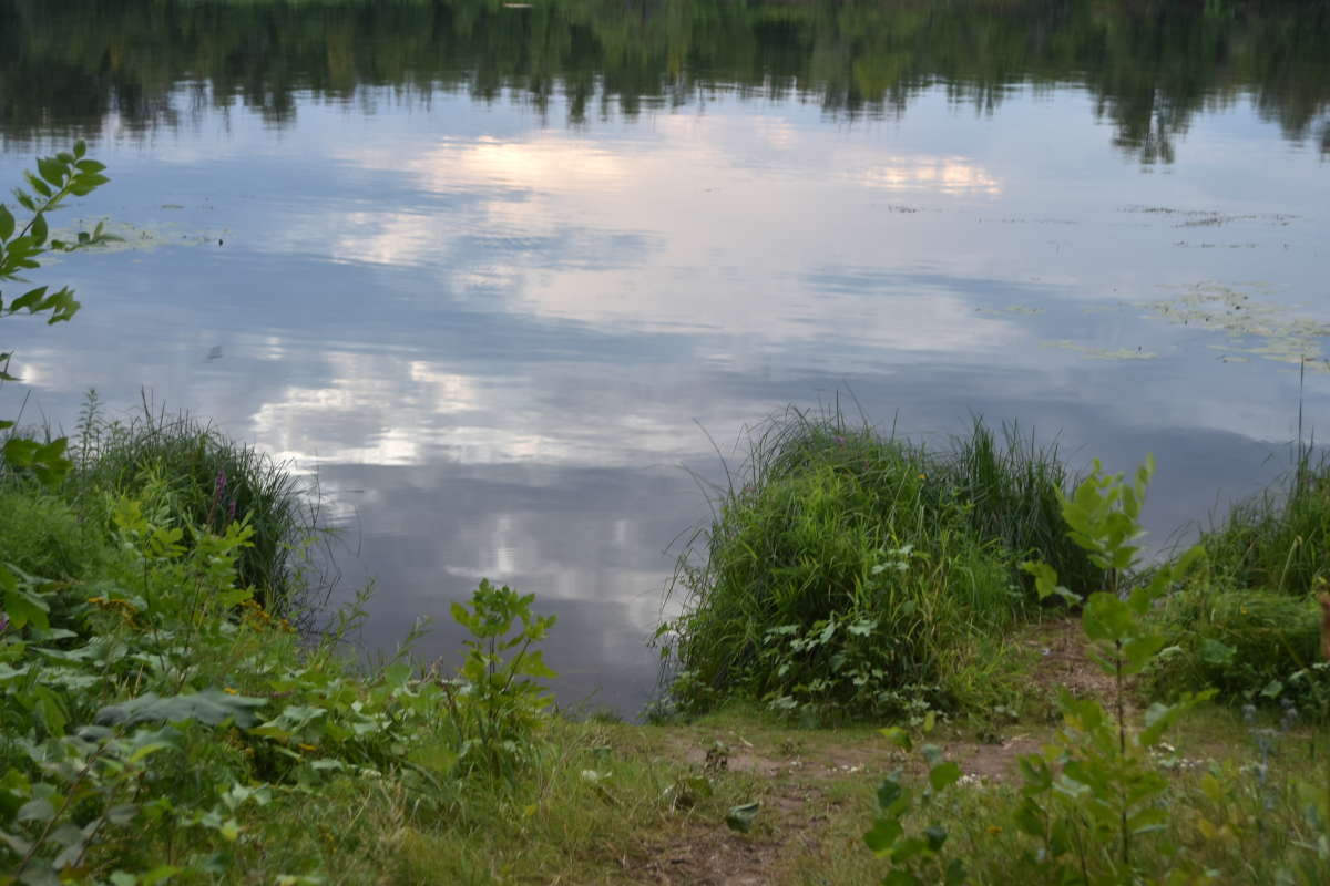 ... ����� ������� �������� �� PhotoGeek.ru #������ ��� �������