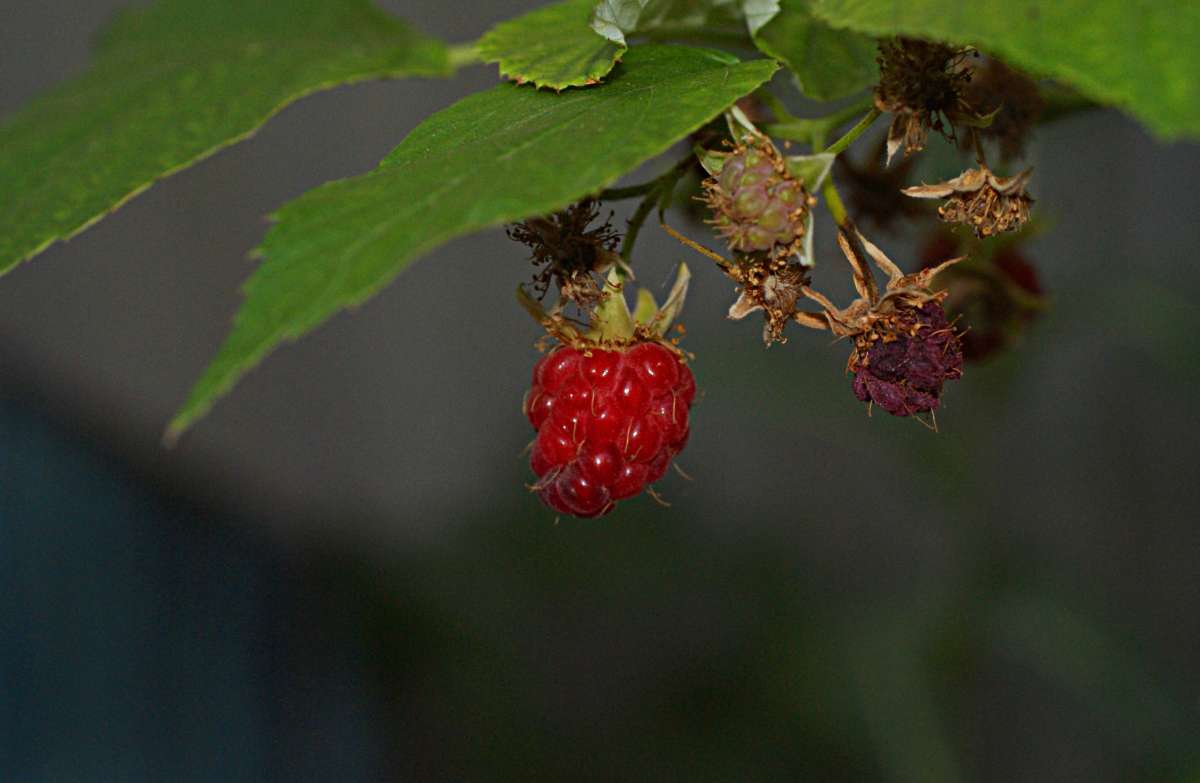 ... ����� ������� �������� �� PhotoGeek.ru #������ ��� �������