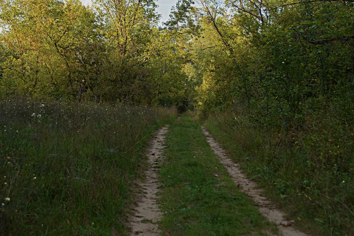 ... ����� ������� �������� �� PhotoGeek.ru #������ ��� �������