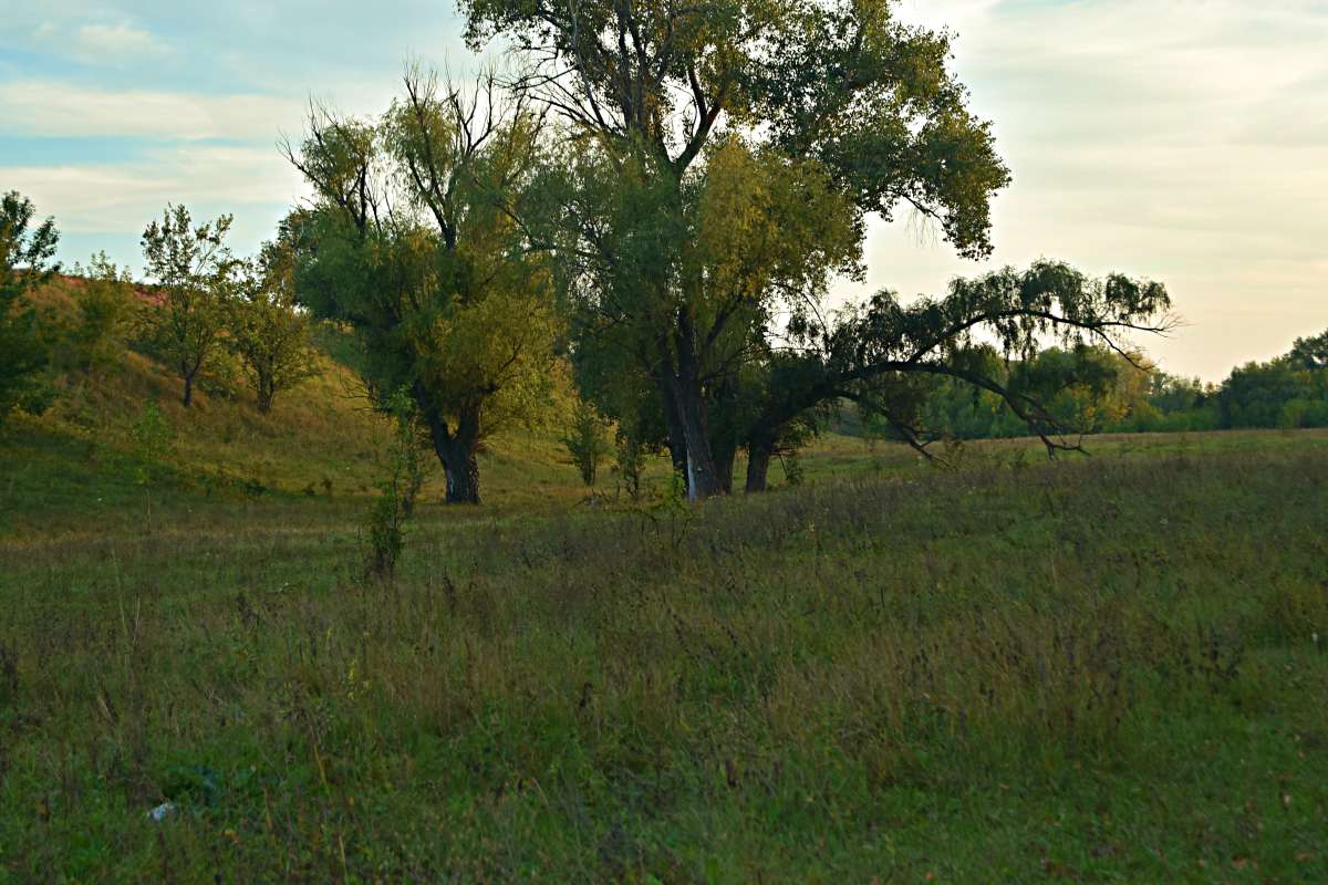 ... ����� ������� �������� �� PhotoGeek.ru #������ ��� �������