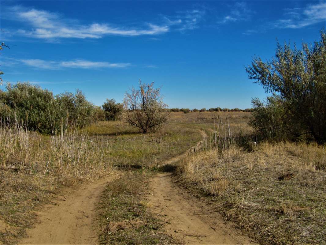 ... ����� ������� �������� �� PhotoGeek.ru #������ ��� �������