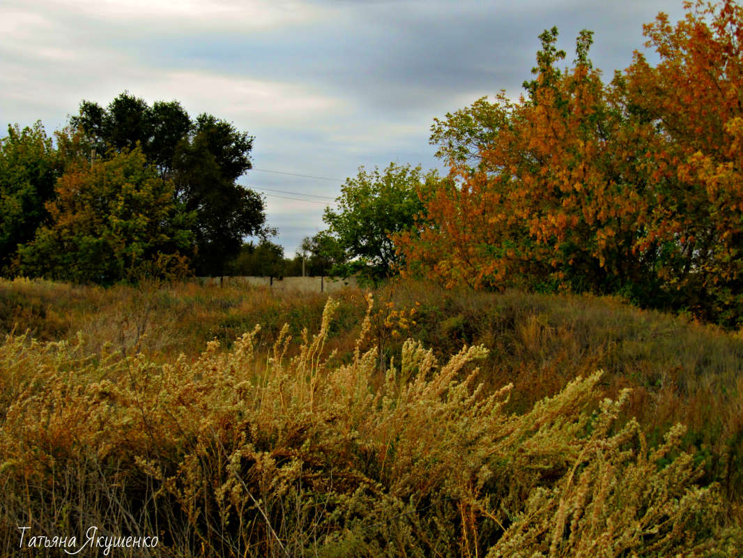 ... ����� ������� �������� �� PhotoGeek.ru #������ ��� �������