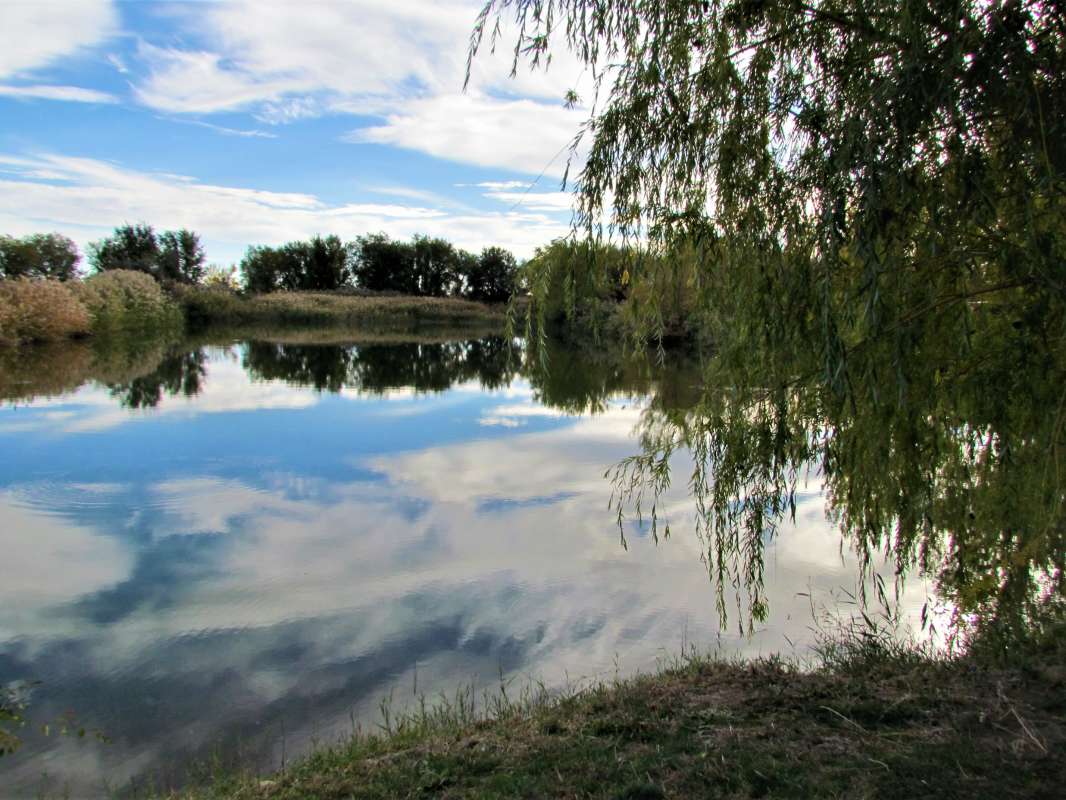 ... ����� ������� �������� �� PhotoGeek.ru #������ ��� �������