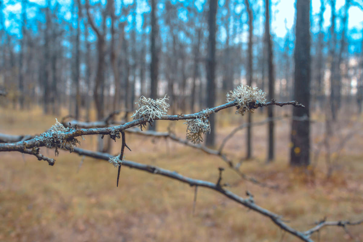 ... ����� SERHII CHEBAN �� PhotoGeek.ru #������ ��� ������� #����� ��������������