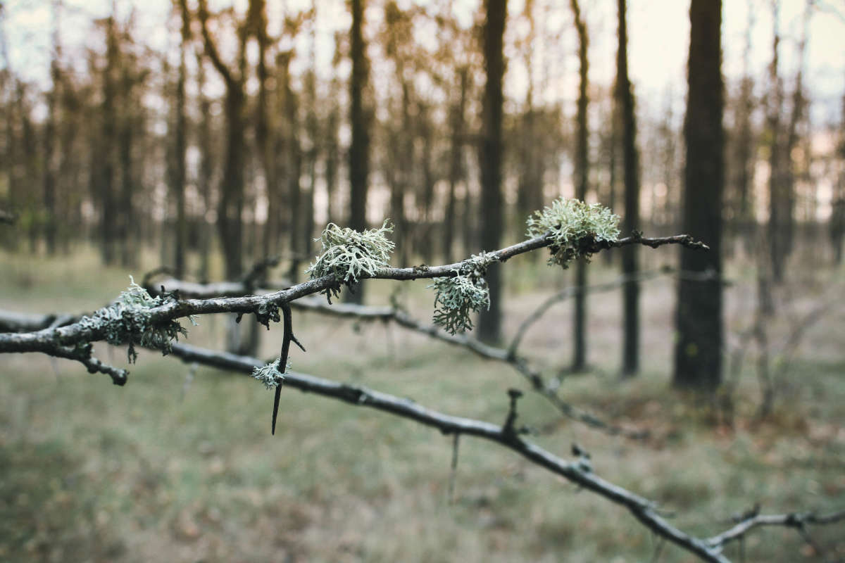 ��� ����� SERHII CHEBAN �� PhotoGeek.ru #������ ��� �������