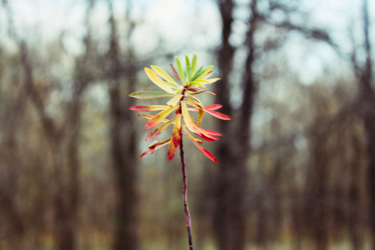 ... ����� SERHII CHEBAN �� PhotoGeek.ru #������ ��� ������� #����� ��������������