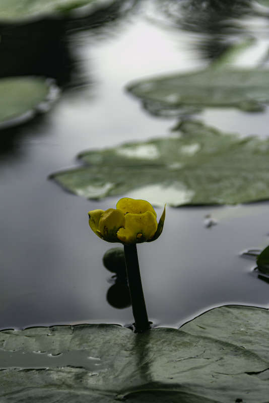 �������� ����� Alex  �� PhotoGeek.ru #������ ��� ������� #����� ��������������