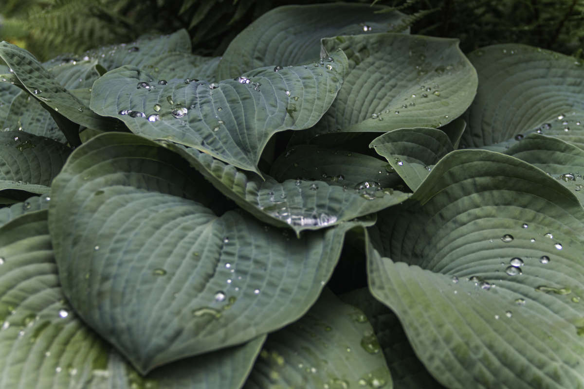 ����� ����� ����� Alex  �� PhotoGeek.ru #������ ��� ������� #����� ��������������