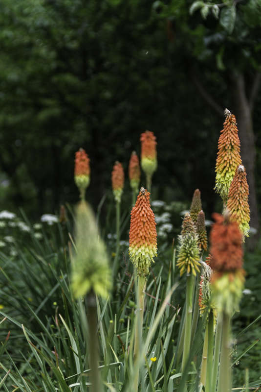 ����� ����� Alex  �� PhotoGeek.ru #������ ��� ������� #����� ��������������