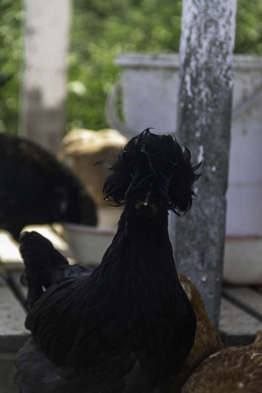 ������� ����� Alex  �� PhotoGeek.ru #�������� ��� #�������