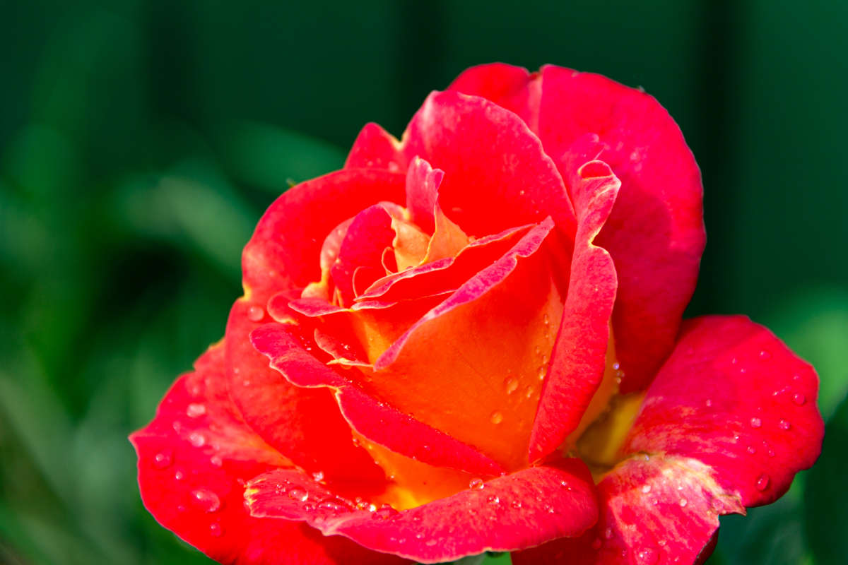 ���� ����� Alex  �� PhotoGeek.ru #������ ��� ������� #����� ��������������