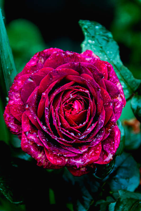 ���� ����� Alex  �� PhotoGeek.ru #������ ��� ������� #����� ��������������