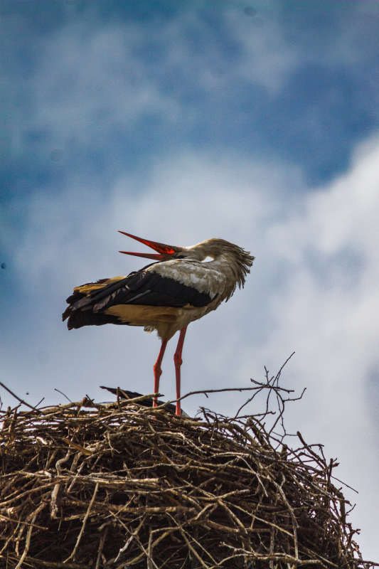 ���� ����� Alex  �� PhotoGeek.ru #�������� ��� #���� #����� ��� ��� ���������