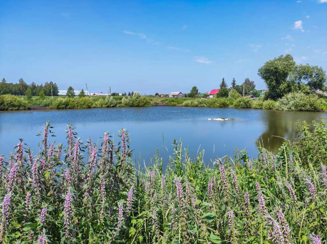 �������� ���� ����� ��������� ������ �� PhotoGeek.ru #������ ��� �������