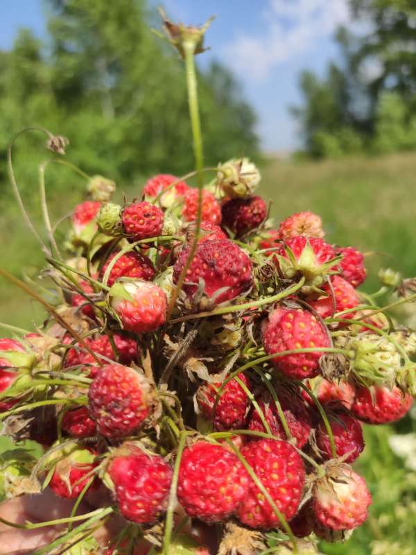 ������� ����� ����� ��������� ������ �� PhotoGeek.ru #������ ��� �������