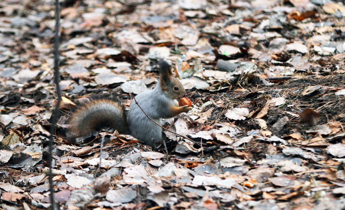 � �������! ����� ������� ����� �� PhotoGeek.ru #����� #����������� ���