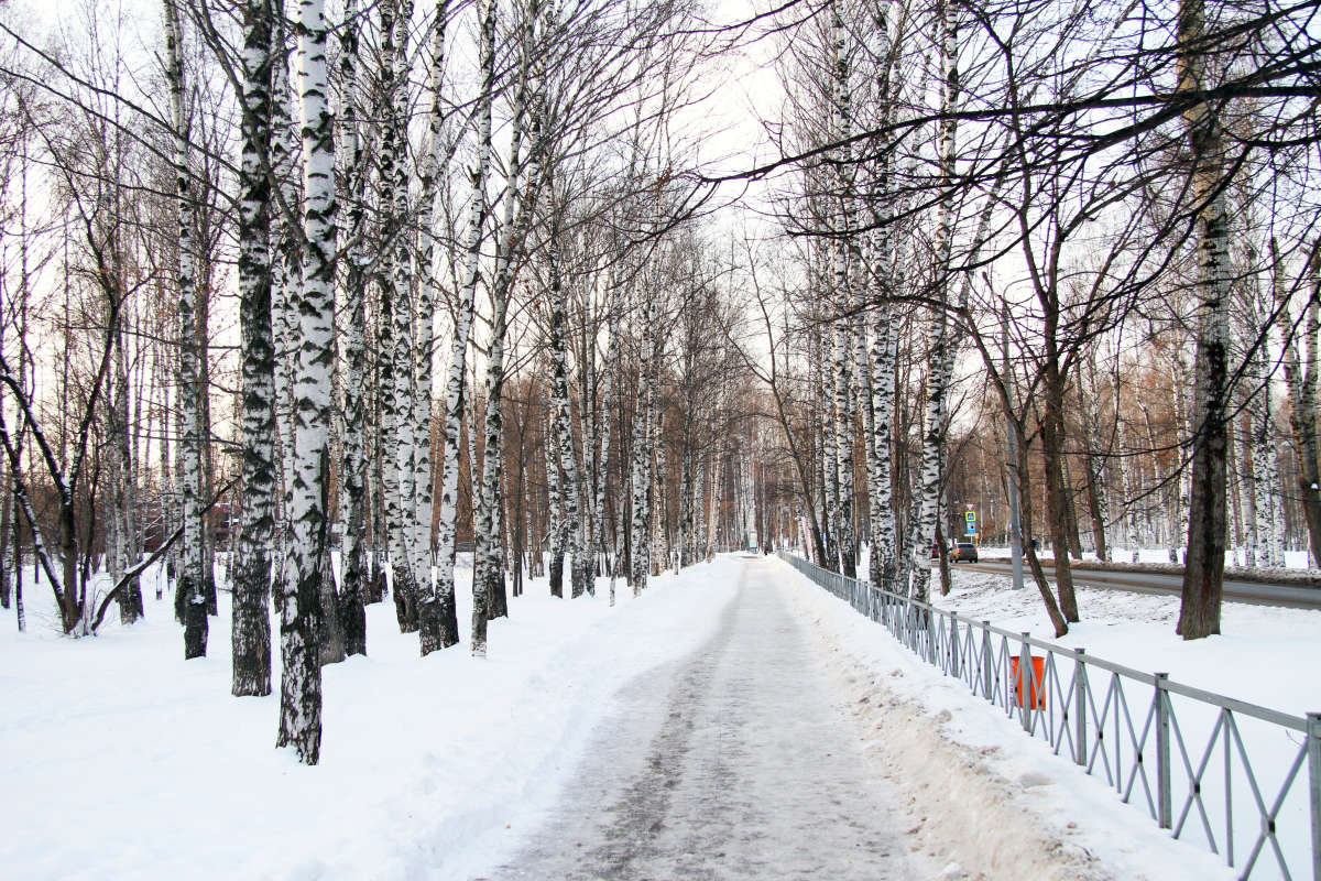 ������� �����. ����� ������� ����� �� PhotoGeek.ru #����� #���������� �����