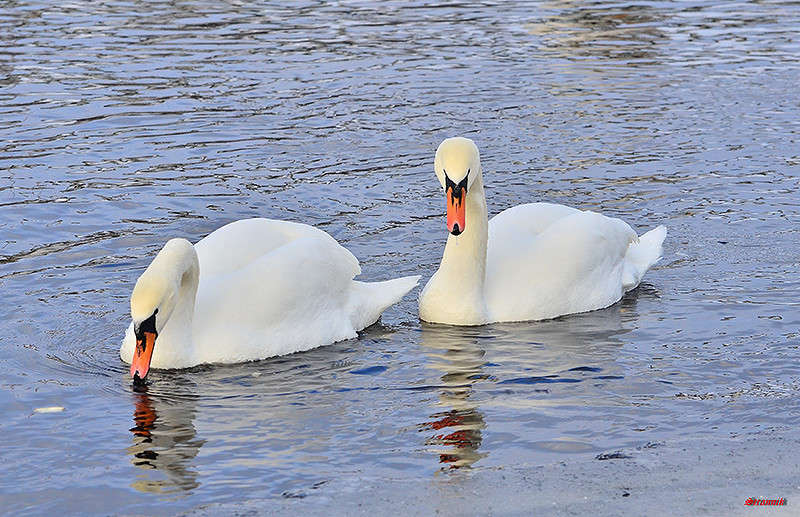 ���������� ���� ����� ����  �� PhotoGeek.ru #�������� ��� #������ ��� ������� #����� ��� ��� ��������� #������ #�����