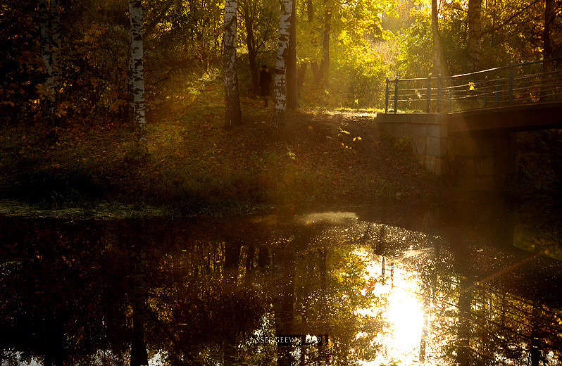 ���������� ����� Serg Sergeew �� PhotoGeek.ru #������ ��� ������� #�������� ���������� #����� �������������� #��������� #��������������� #������������ #����� ��������