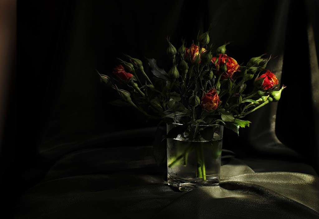 �������� ������� ����� Serg Sergeew �� PhotoGeek.ru #��������� #������������� #���� #������������