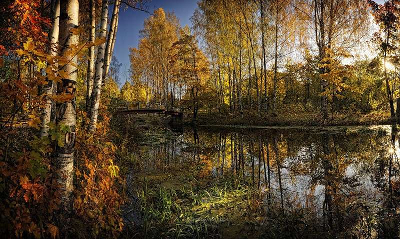 ������ ����� Serg Sergeew �� PhotoGeek.ru #������ ��� ������� #����� �������������� #��������� #������������ #����� ��������