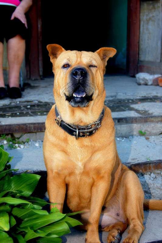 �������� �� �����! ����� ������ ����� �� PhotoGeek.ru #�������� ����������