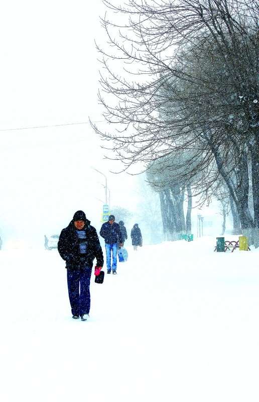 ... ����� ������ ����� �� PhotoGeek.ru #�����